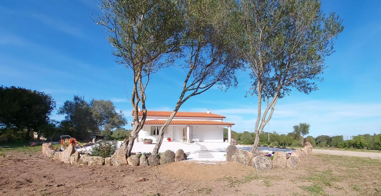 Casa Vacanze Olbia - Alebea - Exterior photo