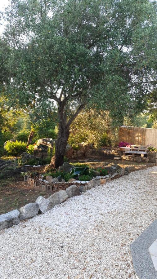 Casa Vacanze Olbia - Alebea - Exterior photo