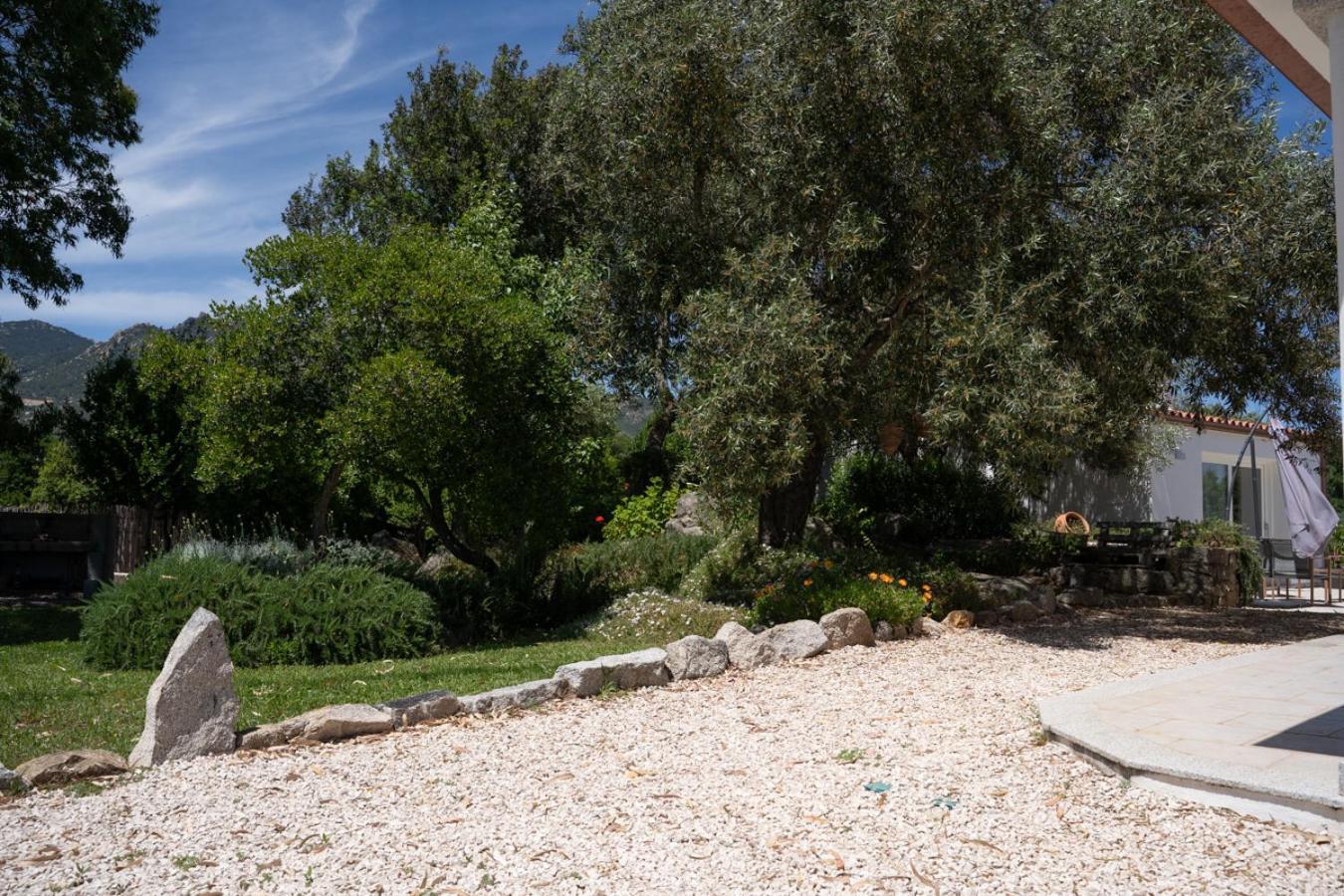 Casa Vacanze Olbia - Alebea - Exterior photo